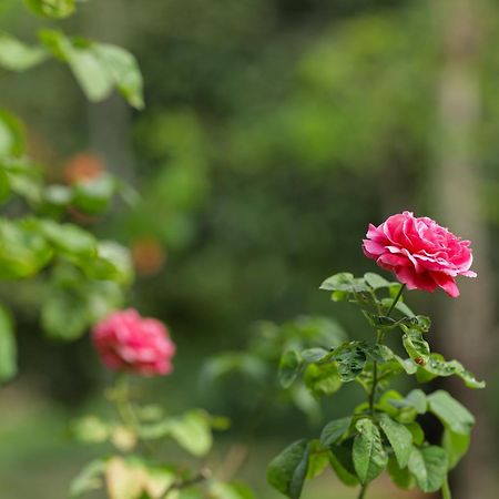 Huenam Residence 외부 사진